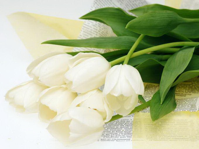 8march